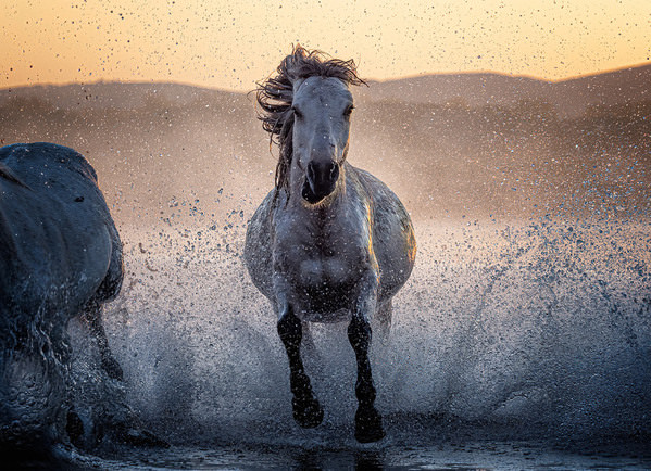 Photograph Kok Tien Sang Power on One Eyeland