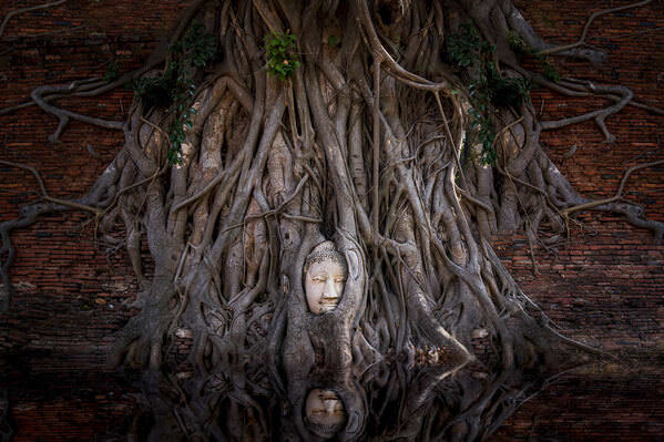 Photograph Ales Tvrdy Buddha on One Eyeland