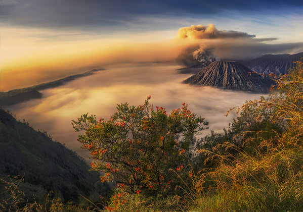 Photograph Kok Tien Sang Sunrise Of Mount Bromo on One Eyeland