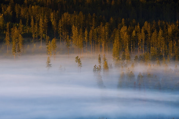 Photograph Robo Kucak Filing Of Autumn on One Eyeland