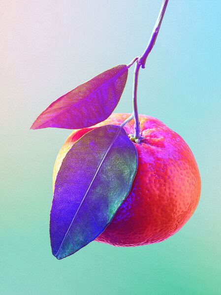 Photograph Ryan Ball Easy Peeler on One Eyeland