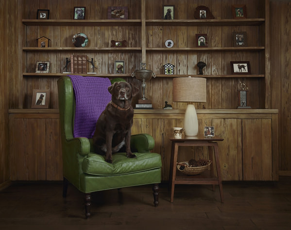 Photograph Kremer Johnson Trophy Room on One Eyeland