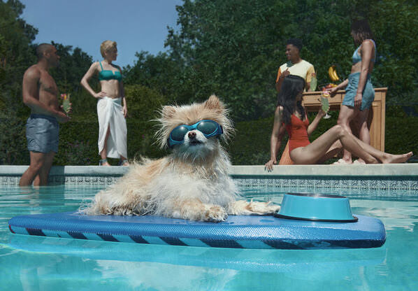 Photograph Kremer Johnson Summer Chill on One Eyeland