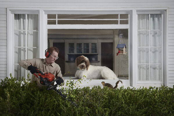 Photograph Kremer Johnson Calm on One Eyeland