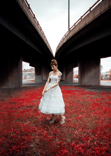 Photograph Ian Ross Pettigrew Overpass on One Eyeland