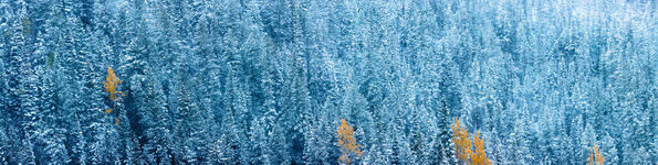 Photograph Andrew Wilz Transitions on One Eyeland