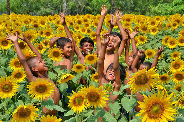 Photograph Chinmoy Biswas Sunflower Childhood on One Eyeland