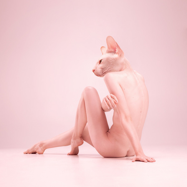 Photograph Lustre Photoproduction Catwoman on One Eyeland