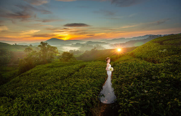 Photograph Pore Ooi Brides Alone on One Eyeland