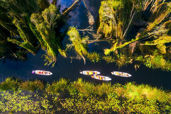 Photograph Do Trong Danh Trip Boat on One Eyeland