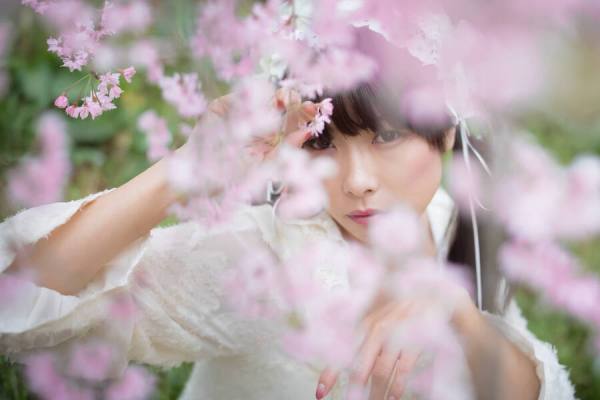 Photograph T Nefeltary Sakura on One Eyeland