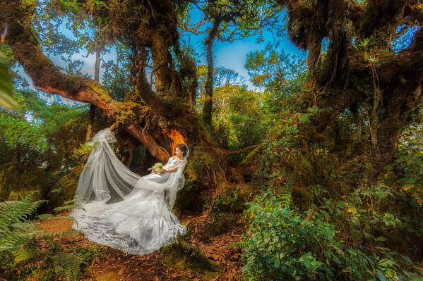 Photograph Pore Ooi Brides Alone on One Eyeland