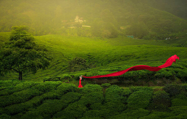Photograph Pore Ooi Red Veil on One Eyeland