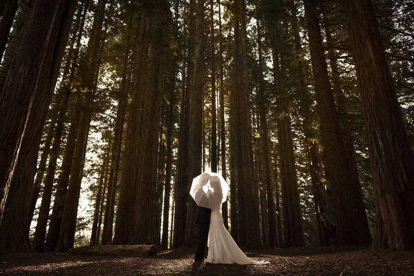 Photograph Mike Sheng Wedding on One Eyeland