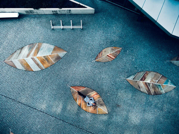 Photograph Ruslan Bolgov Golden Leaves on One Eyeland