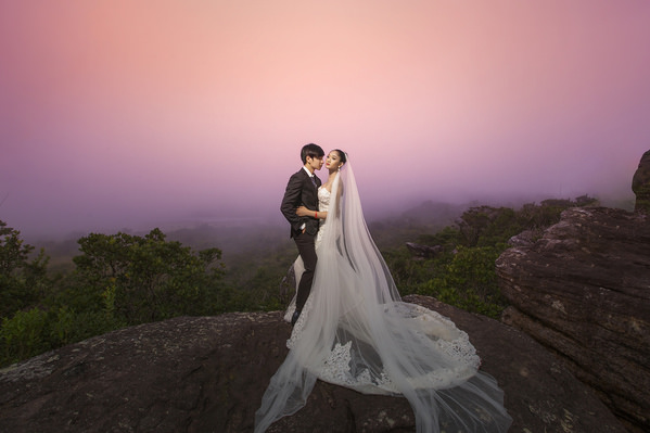 Photograph Berry Holly Pink Day Of Love on One Eyeland