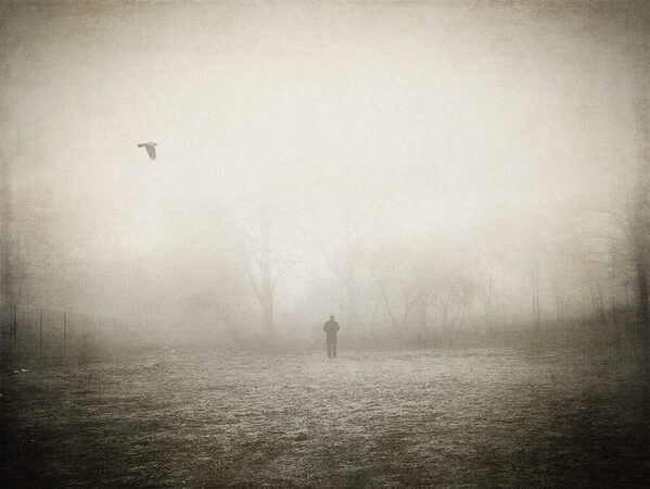 Photograph Jack Savage Searching For Solitude on One Eyeland