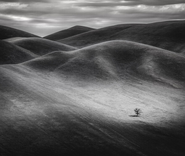 Photograph Evgeny Ivanov Alone on One Eyeland