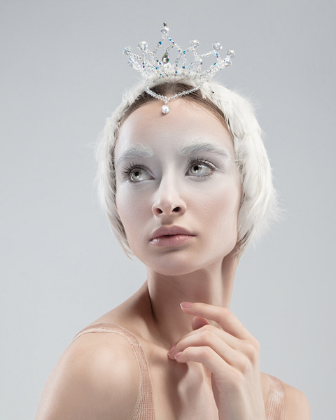 Photograph Lustre Photoproduction White Swan on One Eyeland