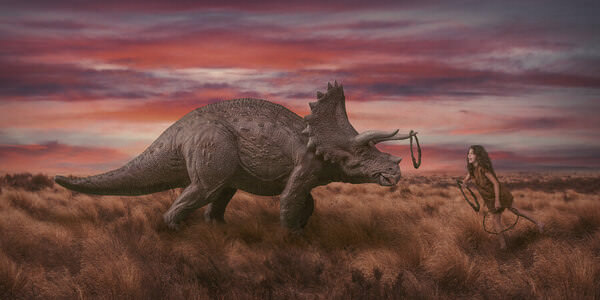 Photograph Peter Rooney Playtime on One Eyeland