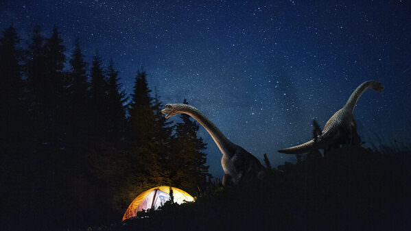Photograph Lustre Photoproduction Dino on One Eyeland