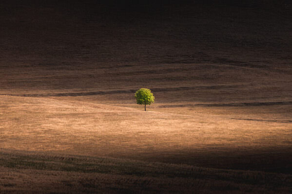 Photograph Evgeny Ivanov In The Sunlight on One Eyeland
