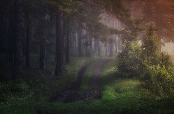 Photograph Tatiana Biriukova Morning Fog on One Eyeland