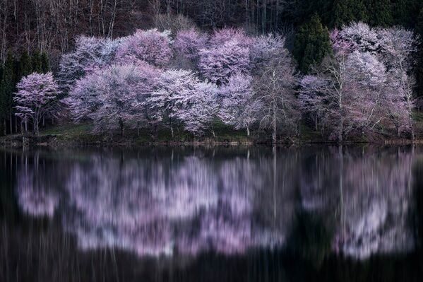 Photograph Wataru Aoki Mysterious Profundity on One Eyeland