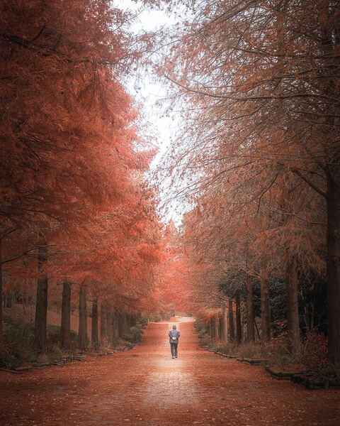 Photograph Vu Quan Autumn Walk on One Eyeland