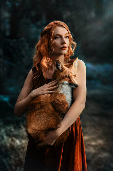 Photograph Sonja Hietala Mother Fox on One Eyeland