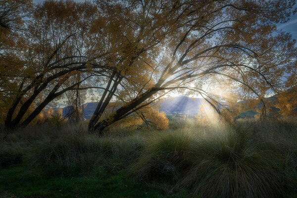 Photograph Stanley Loong Morning Rays on One Eyeland