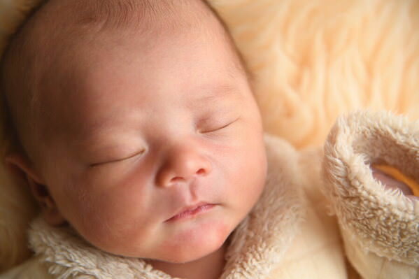 Photograph Daiki Fujiwara New Life on One Eyeland