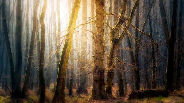 Photograph Krzysztof Tollas The Light You Seek Is In You on One Eyeland