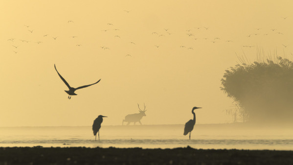 Photograph Damian Stopczynski Morning on One Eyeland