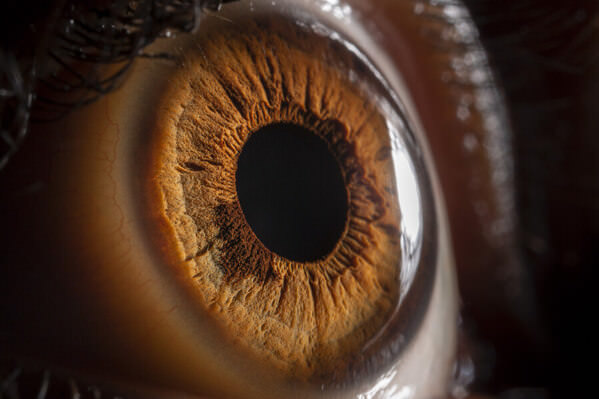 Photograph Enrico Monni Human Beauty on One Eyeland