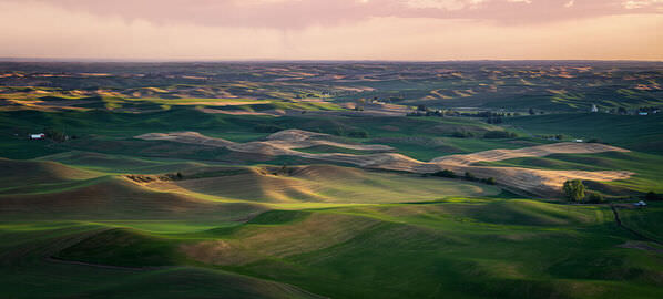 Photograph Joshua Smith Fields Of Gold And Green on One Eyeland