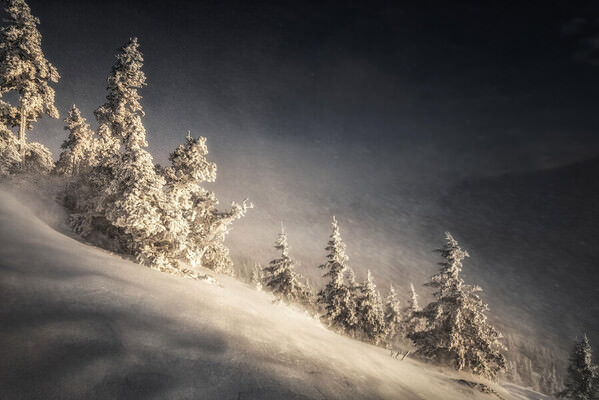 Photograph Tatiana Biriukova Blizzard on One Eyeland