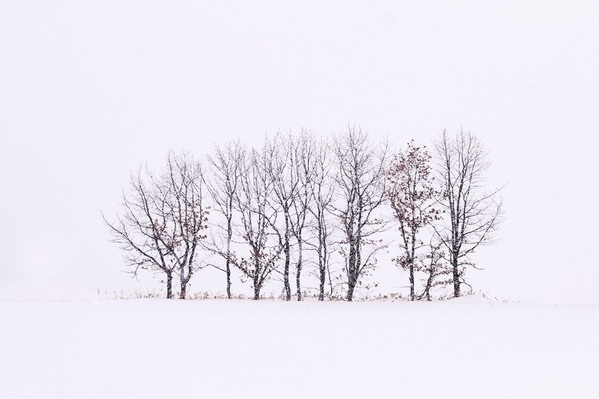 Photograph Wataru Aoki Endure on One Eyeland