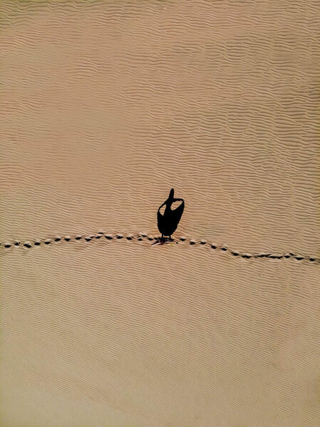 Photograph Fabian Ortiz Shadow Dance on One Eyeland
