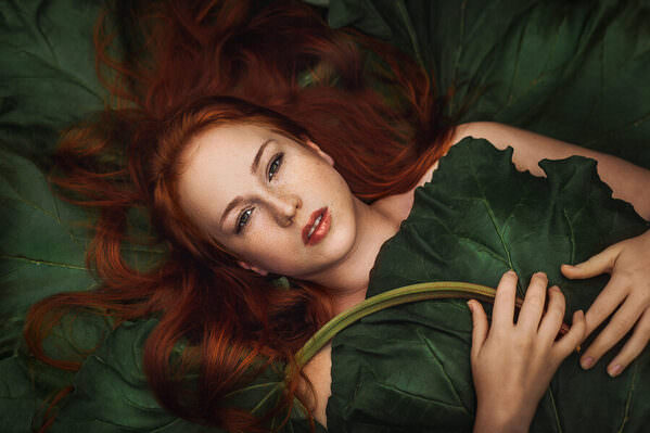 Photograph Sonja Hietala Rhubarb on One Eyeland