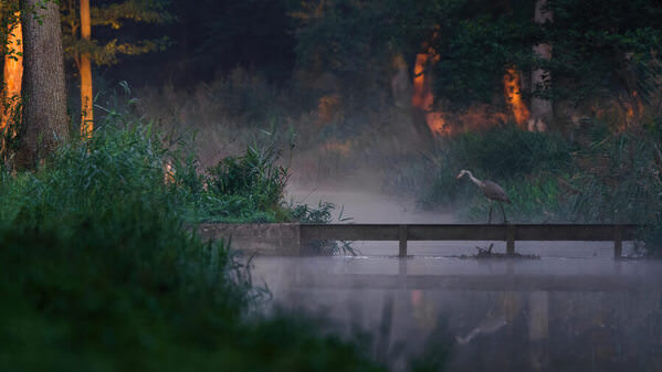 Photograph Damian Stopczynski On The Bridge on One Eyeland