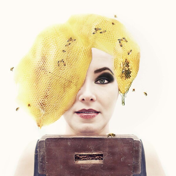 Photograph Mandy Hady Schulte Honeycomb on One Eyeland