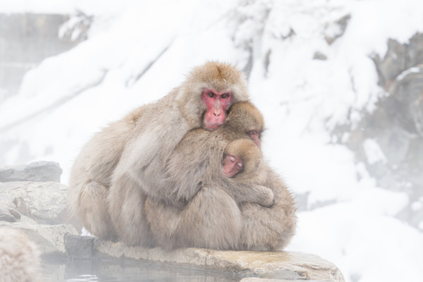 Photograph Hiromichi Shimizu Over The Winter on One Eyeland