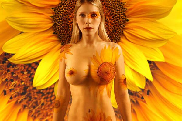 Photograph Kristian Liebrand Sunflowers And Bean on One Eyeland