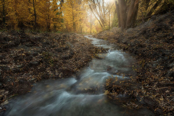 Photograph Stanley Loong Misty Autumn on One Eyeland