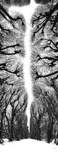 Photograph Anna Schulze Wenck Waldbaden on One Eyeland