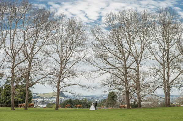 Photograph Mike Sheng Wedding on One Eyeland