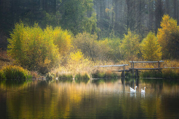 Photograph Stanley Loong Autumn Whisper on One Eyeland