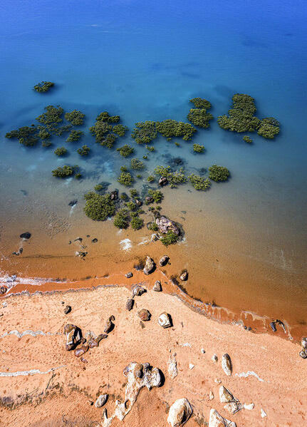 Photograph Graham Earnshaw Roebuck Rouge And Blues on One Eyeland