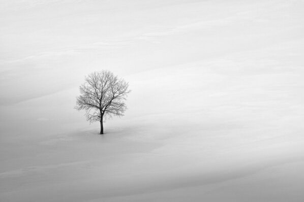 Photograph Evgeny Ivanov On White on One Eyeland
